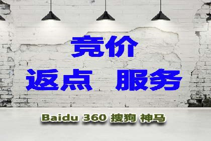 深度解析：百度竞价代理的优化策略与成功案例